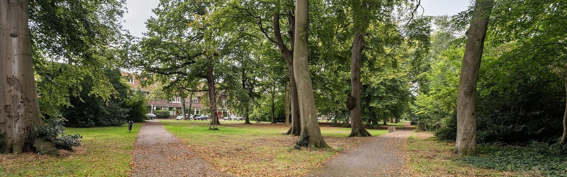 wijken in den haag: Benoordenhout