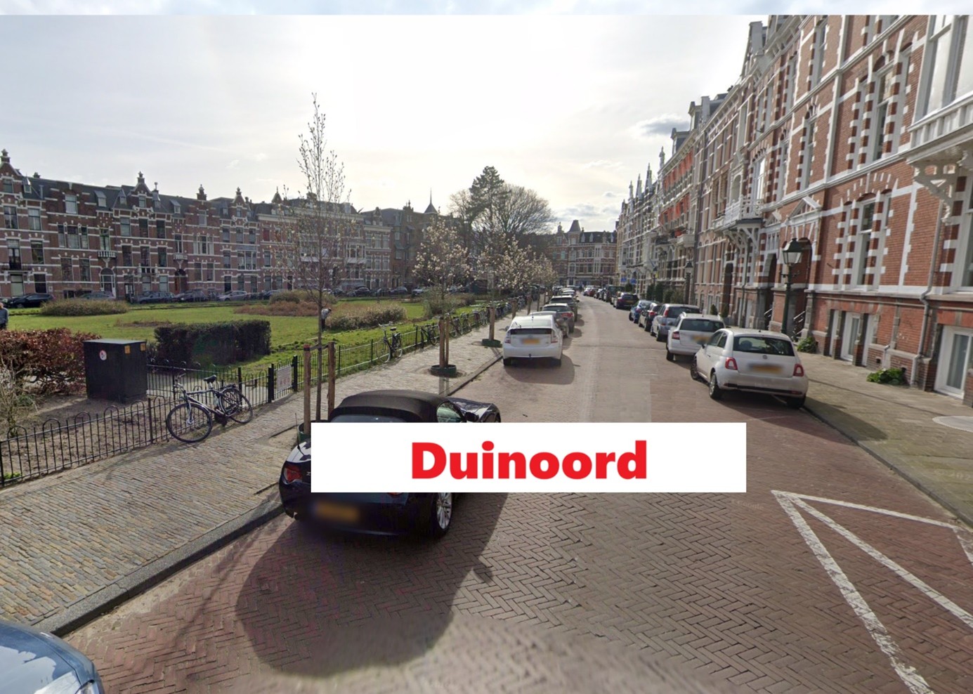 wijken in den haag:Duinoord