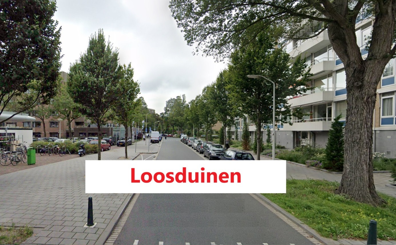 wijken in den haag:Loosduinen