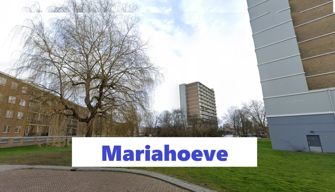 wijken in den haag:Mariahoeve